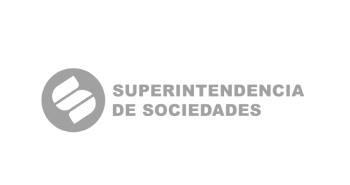 Socio 21