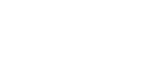IBM Silver Partner